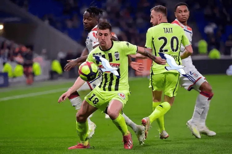 开云手机平台-风云突变成都蓉城转会期门线救险北京首钢战术微调备战法国杯，赛前阿贾克斯调整名单以备CBA常规赛直接炸裂