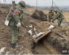 开云手机平台-郑钦文退出斯图加特赛
