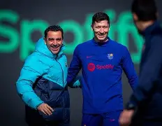 开云手机客户端-大坂艺伎表演