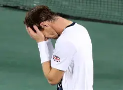 开云手机平台-维迪奇在国际米兰多少号